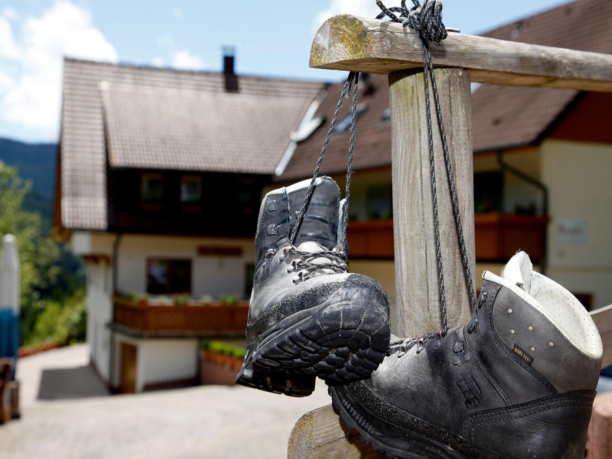 Paradies Im Schwarzwald Bad Peterstal-Griesbach Exterior photo
