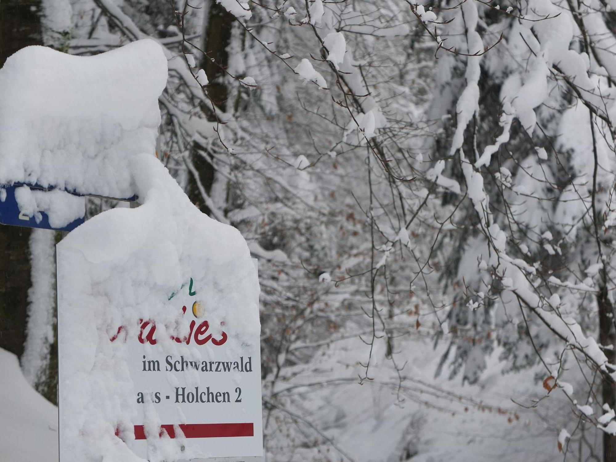 Paradies Im Schwarzwald Bad Peterstal-Griesbach Exterior photo